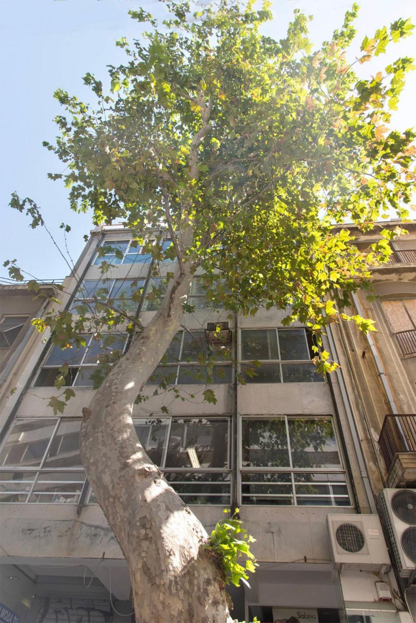 Am16 Suites Athènes Extérieur photo